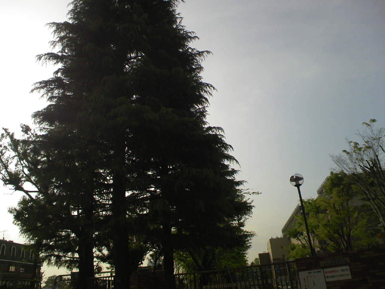 c0125637_2016276.jpg