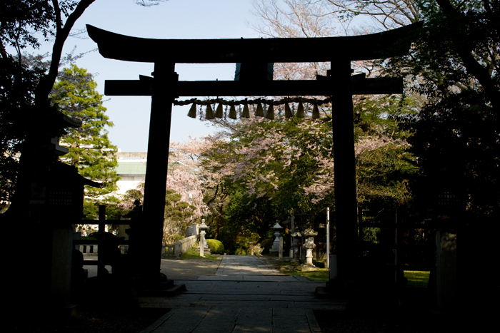 神社には桜がよく似合う_c0192239_23173160.jpg