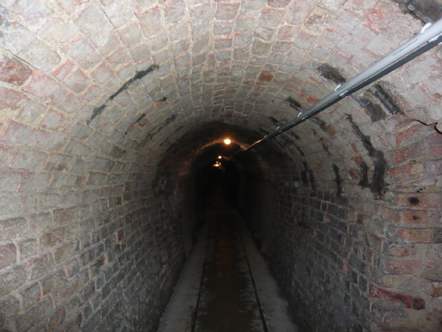 d0044239_1412433.jpg