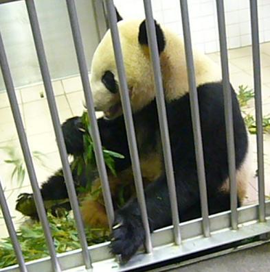 f0002743_1783316.jpg
