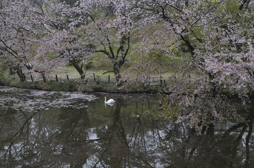 c0093046_19163997.gif