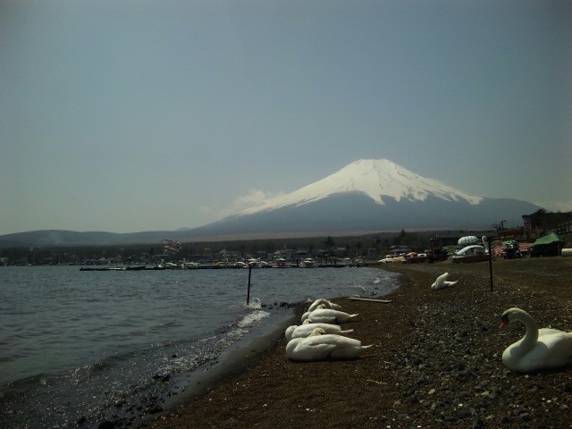 e0069647_23746.jpg