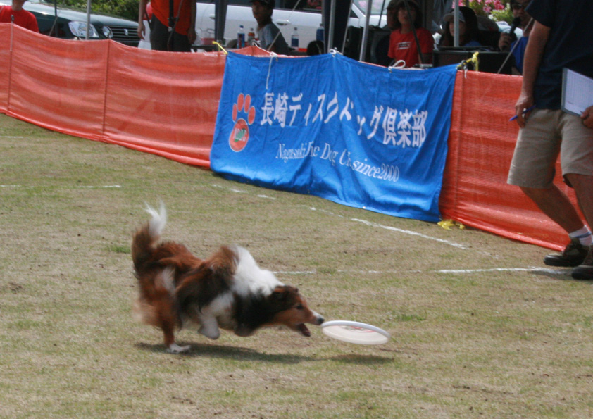 d0105749_17412042.jpg