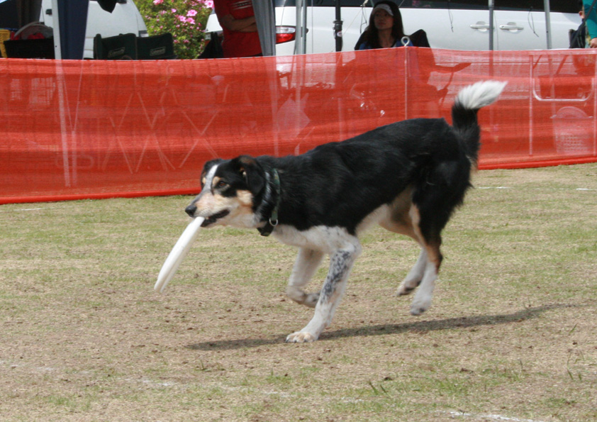 d0105749_1741479.jpg