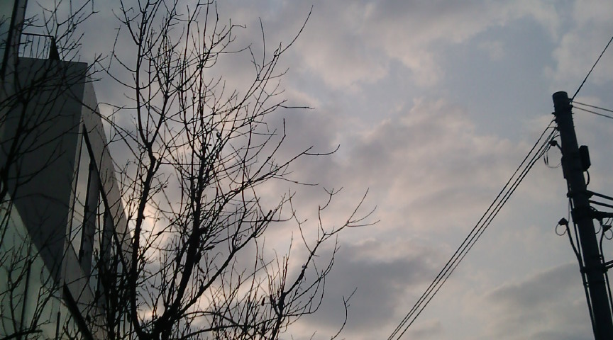 f0150151_6302015.jpg