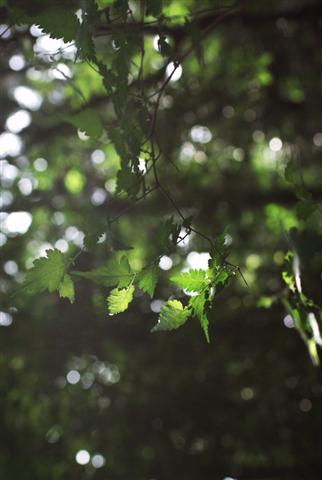 a0117056_122118100.jpg