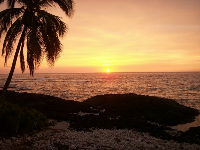 e0033156_41611.jpg