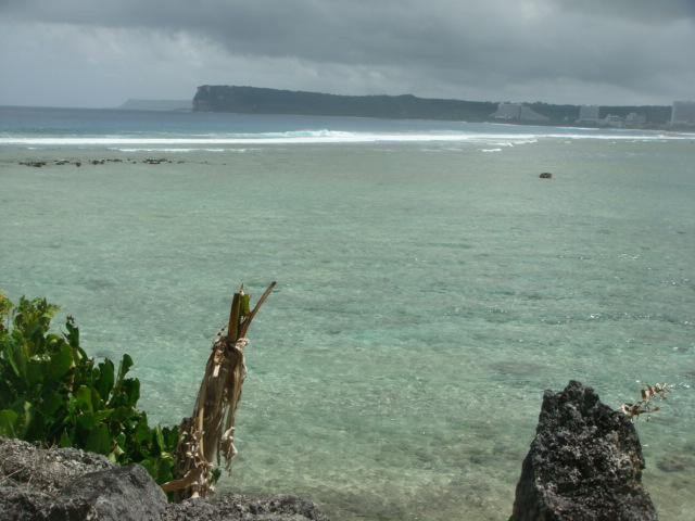f0036857_131589.jpg