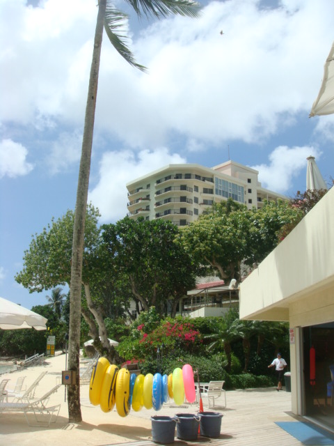 f0036857_1331778.jpg