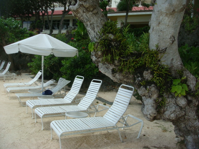 f0036857_1364960.jpg