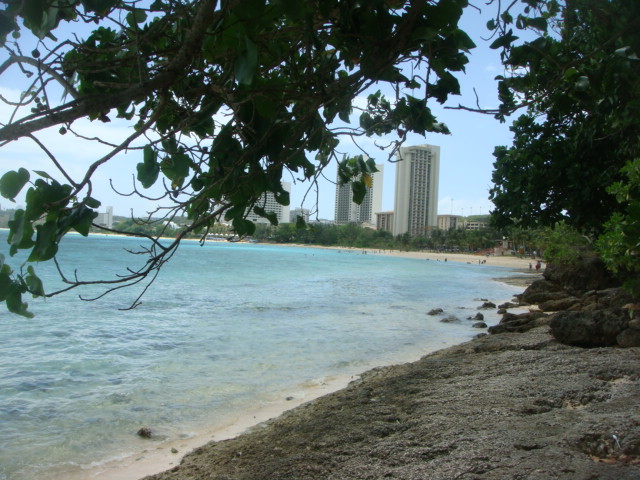 f0036857_136541.jpg