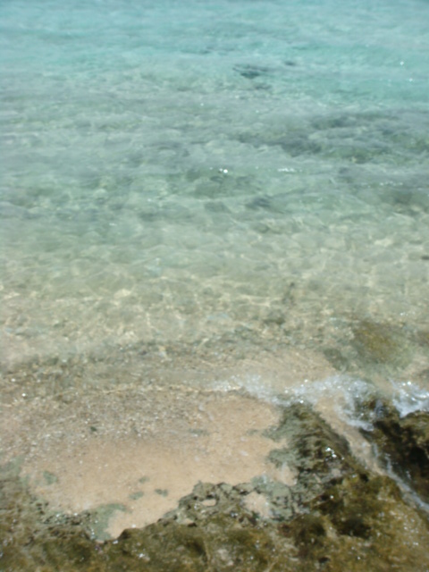 f0036857_1373531.jpg