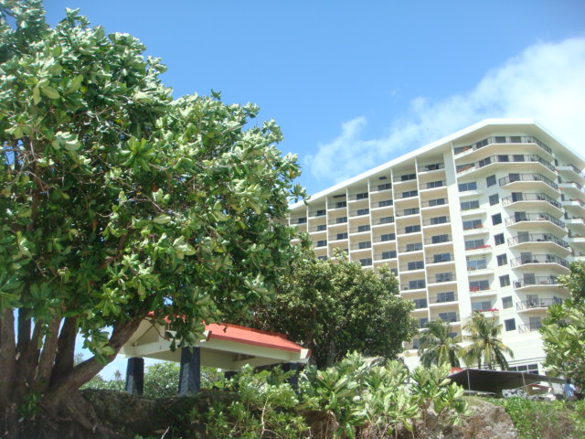 f0036857_138630.jpg