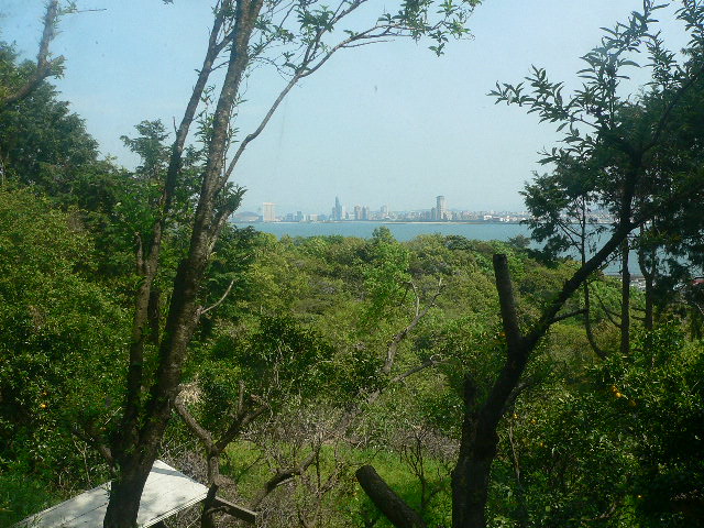 能古島への引っ越し 「さあ改装だ!」_f0201157_14314131.jpg