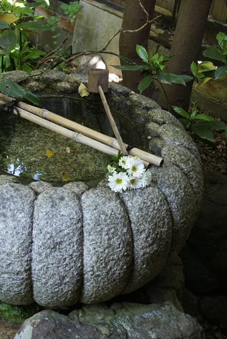 暖簾をくぐると別世界:京都嵐山・花月園福家 鯉の甘露煮が絶品_b0063958_20575144.jpg