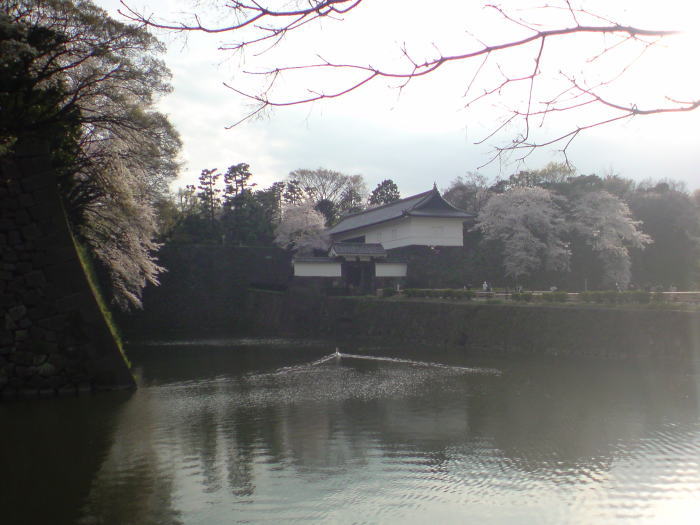 都内桜めぐり_e0153367_1641914.jpg