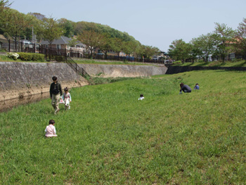 野の草を食す会_c0122670_21342554.jpg