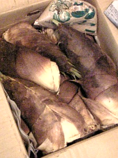 d0104974_16284951.jpg