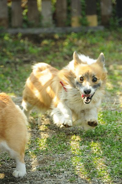 とぶき　200903 65_c0109780_22163837.jpg