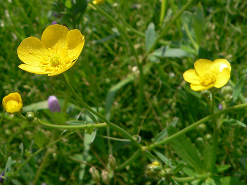 e0056880_11202768.jpg