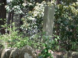 e0056880_112239100.jpg