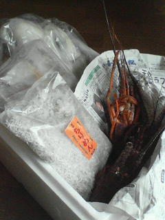 c0180581_18112464.jpg