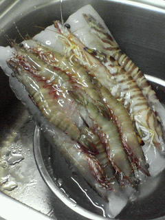 c0180581_1812283.jpg