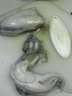 c0180581_18131738.jpg