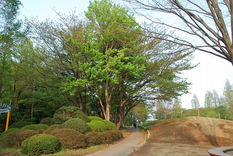 c0187781_68719.jpg