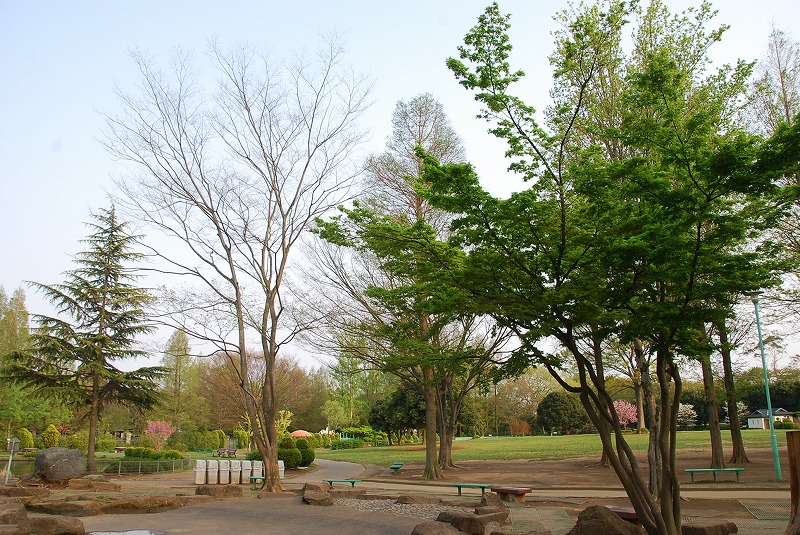 c0187781_6905.jpg