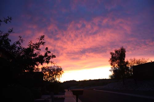 c0026482_89273.jpg