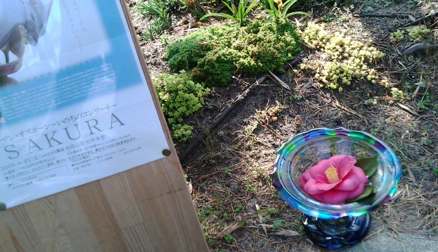 e0090584_12699.jpg