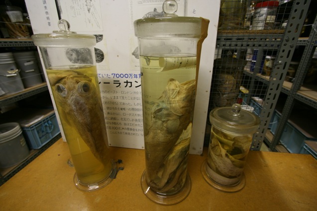 d0097288_1264473.jpg