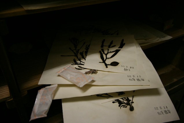 d0097288_1283338.jpg