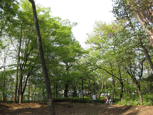 公園デビューの下見_c0062495_22475047.jpg