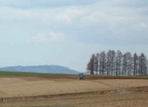 f0187700_9581915.jpg