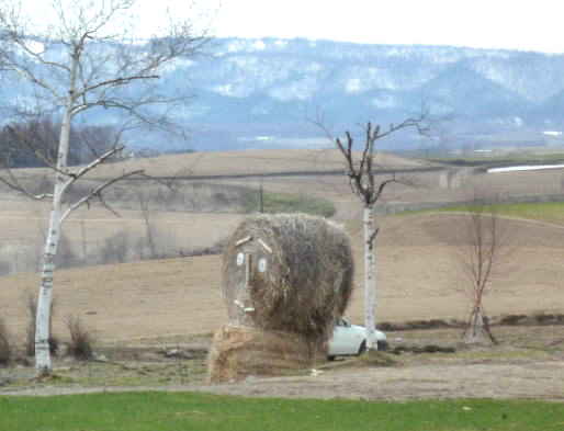 f0187700_9582882.jpg