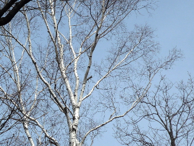 f0187700_958436.jpg