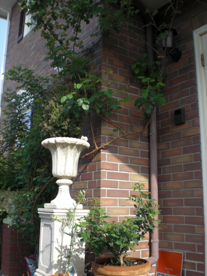 e0163202_19394716.jpg