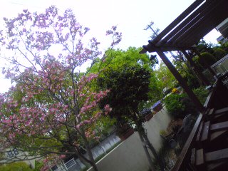 d0023103_2015193.jpg