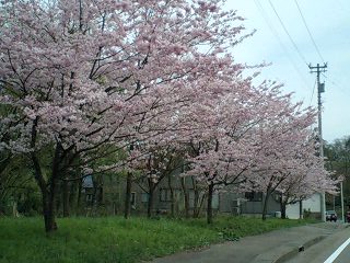 d0093903_0441031.jpg