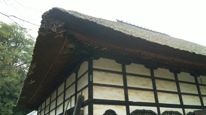 f0144003_856426.jpg