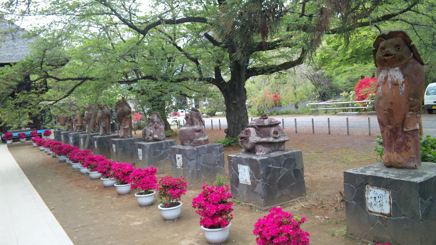 f0144003_8571363.jpg