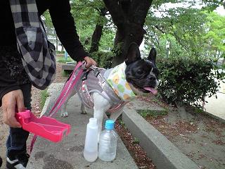 c0188904_155341100.jpg