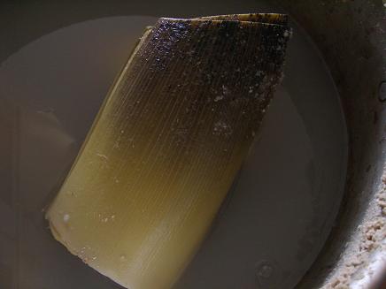 c0170905_921320.jpg
