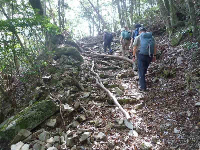 野根山街道　（高知県　室戸岬）_b0124306_2228628.jpg