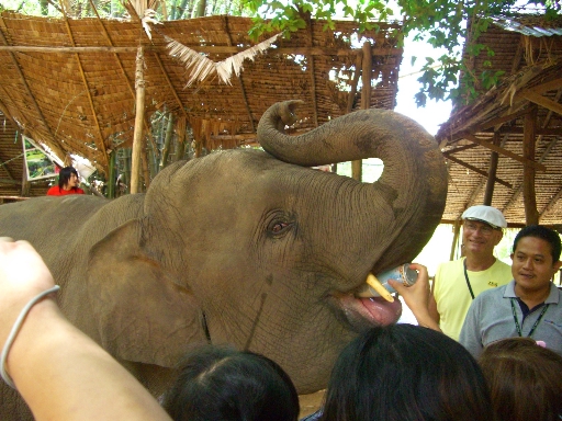 c0110906_1651469.jpg