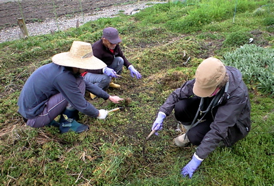 f0135908_0374322.jpg