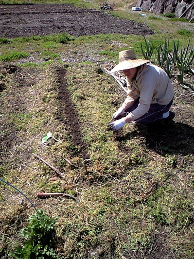 f0135908_0485092.jpg