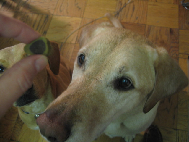 f0036409_843236.jpg